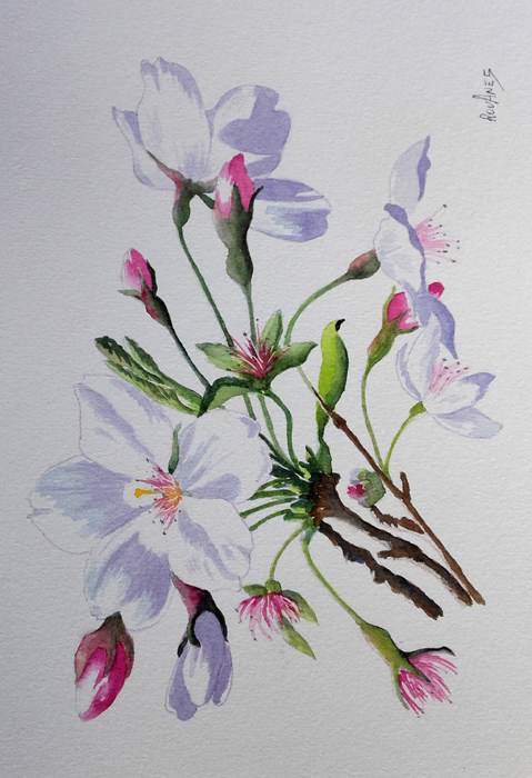 printemps